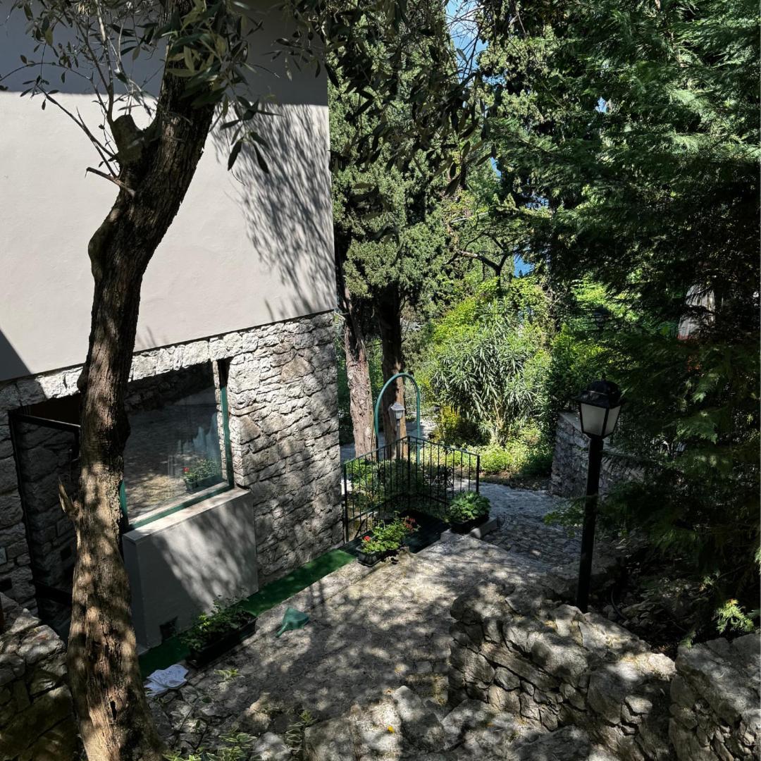 Wonderful Lake View Apartments With Pool With Breakfast Gardasee Torri Del Benaco Buitenkant foto
